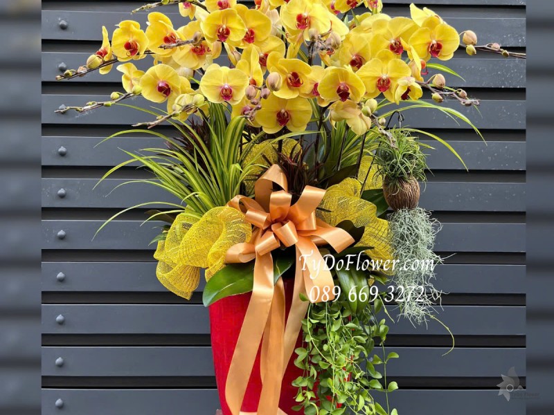 L0325189 CHẬU 12 CÀNH LAN HỒ ĐIỆP VÀNG Hoa Chúc Mừng Thiết kế Hoa Sen Đá, Cây Xanh Tiểu Cảnh, Trang Trí Phụ Kiện Vàng Cao Cấp