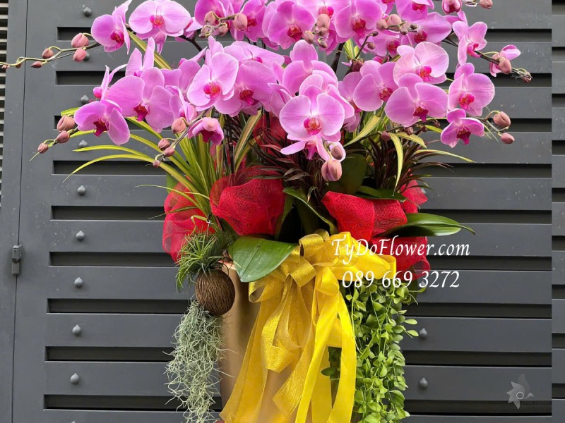 L0325190 CHẬU 12 CÀNH LAN HỒ ĐIỆP TÍM HỒNG Hoa Chúc Mừng Thiết kế Hoa Sen Đá, Cây Xanh Tiểu Cảnh, Trang Trí Phụ Kiện Cao Cấp