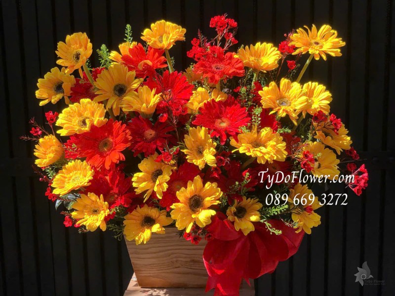 G0325244 GIỎ HOA CHÚC MỪNG Thiết kế Hoa Đồng Tiền Đỏ Vàng