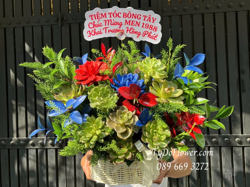 G0425292 GIỎ HOA CHÚC MỪNG KHAI TRƯƠNG Thiết kế Hoa Sen Đá