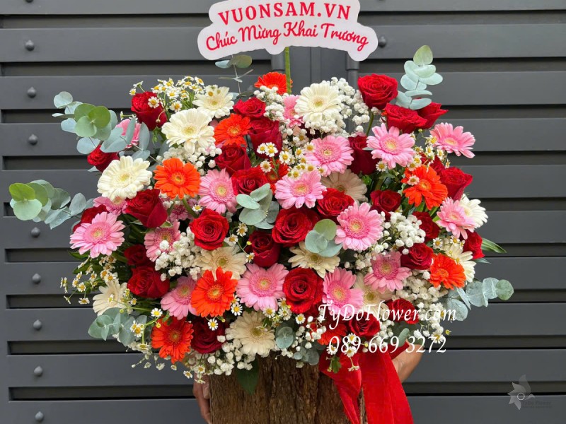 G0425309 GIỎ HOA CHÚC MỪNG KHAI TRƯƠNG HỒNG Thiết kế gam màu trắng đỏ hồng, Hoa Hồng Đỏ, Đồng Tiền, Baby