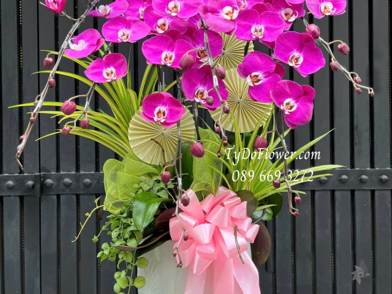 L0325322 CHẬU 06 CÀNH LAN HỒ ĐIỆP TÍM Hoa Chúc Mừng Thiết kế Cây Xanh Tiểu Cảnh, Phụ Kiện Trang Trí Cao Cấp