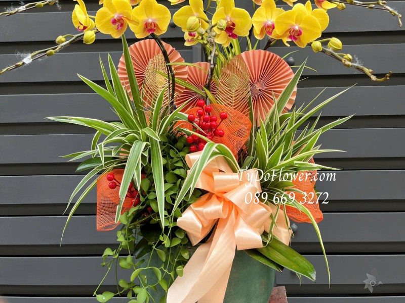 L0325323 CHẬU 06 CÀNH LAN HỒ ĐIỆP VÀNG Hoa Chúc Mừng Thiết kế Cây Xanh Tiểu Cảnh, Phụ Kiện Trang Trí Cao Cấp