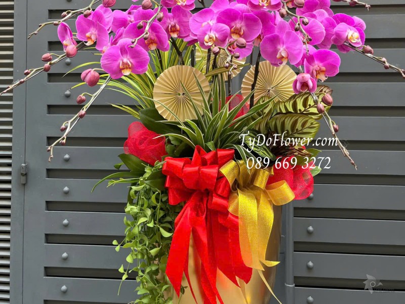 L0325324 CHẬU 09 CÀNH LAN HỒ ĐIỆP TÍM Hoa Chúc Mừng Thiết kế Cây Xanh Tiểu Cảnh, Phụ Kiện Trang Trí Cao Cấp