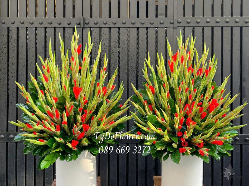  G0325327 MỘT CẶP 02 LẴNG HOA HUỆ LAY DƠN ĐỎ Trang trí Gia Tiên, bàn thờ cúng