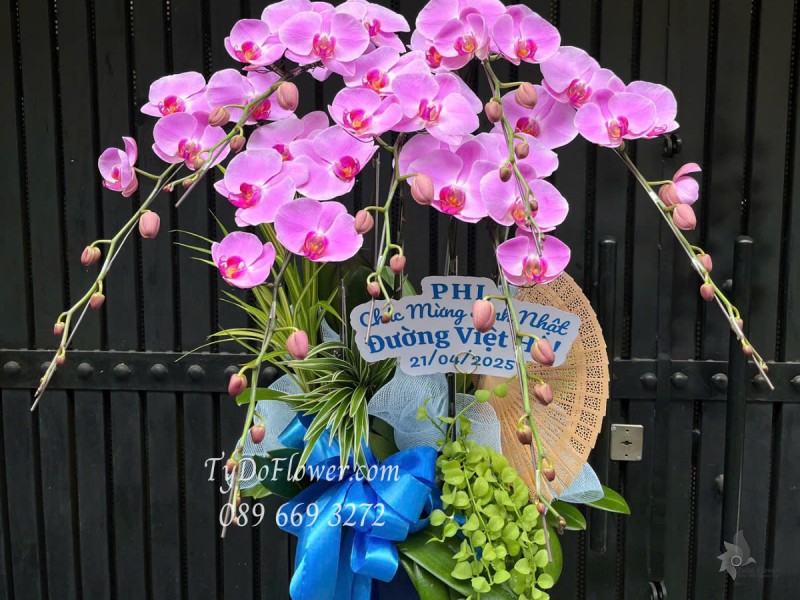 L0425341 CHẬU 07 CÀNH LAN HỒ ĐIỆP HỒNG Thiết kế Cây Xanh Tiểu Cảnh, Phụ Kiện Trang Trí Cao Cấp