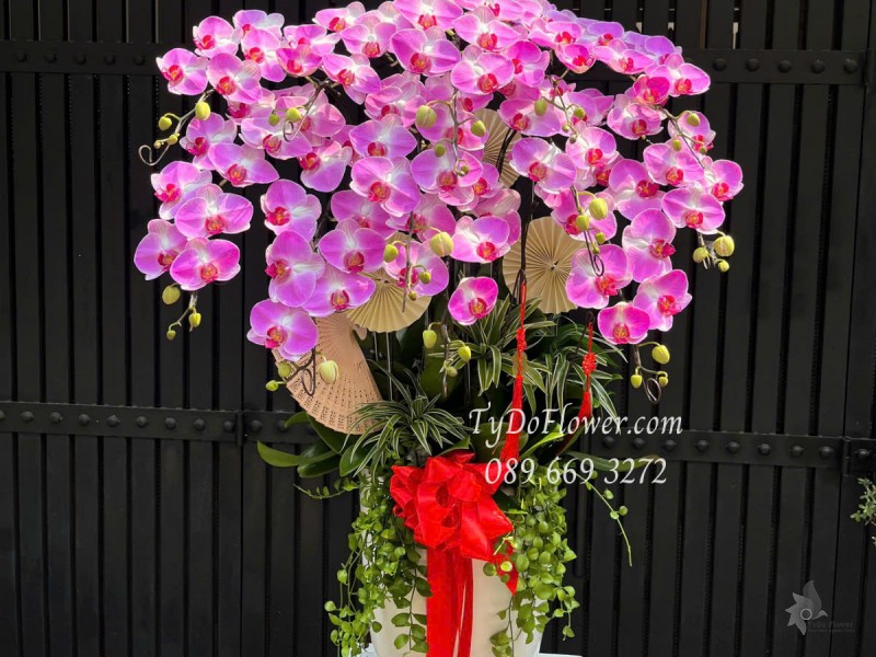 L0525365 CHẬU 12 CÀNH LAN HỒ ĐIỆP TÍM HỒNG Hoa Chúc Mừng Thiết kế Cây Xanh Tiểu Cảnh, Phụ Kiện Trang Trí Cao Cấp