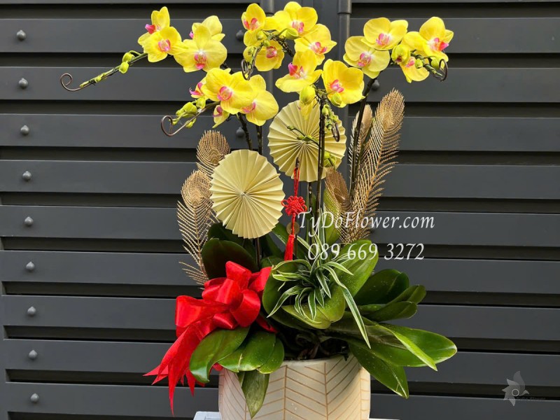 L0525366 CHẬU 05 CÀNH LAN HỒ ĐIỆP VÀNG Hoa Chúc Mừng Thiết kế Cây Xanh Tiểu Cảnh, Phụ Kiện Trang Trí Cao Cấp