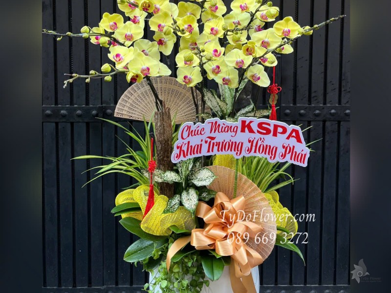 L0525367 CHẬU 10 CÀNH LAN HỒ ĐIỆP VÀNG Hoa Chúc Mừng Khai Trương Hồng Phát Thiết kế Cây Xanh Tiểu Cảnh, Phụ Kiện Trang Trí Cao Cấp