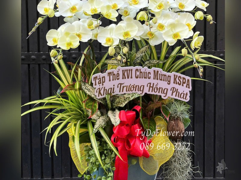 L0525368 CHẬU 7 CÀNH LAN HỒ ĐIỆP VÀNG CHANH XANH TÁO Hoa Chúc Mừng Khai Trương Hồng Phát Thiết kế Cây Xanh Tiểu Cảnh, Phụ Kiện Trang Trí Cao Cấp