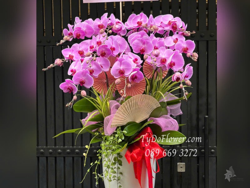 L0525369 CHẬU 11 CÀNH LAN HỒ ĐIỆP TÍM HỒNG Hoa Chúc Mừng Khai Trương Hồng Phát Thiết kế Cây Xanh Tiểu Cảnh, Phụ Kiện Trang Trí Cao Cấp