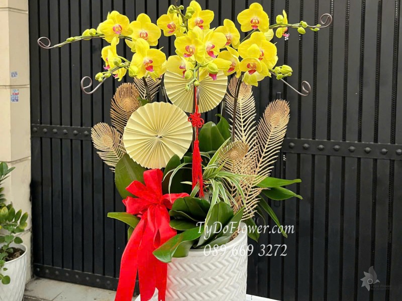L0525408 CHẬU 06 CÀNH LAN HỒ ĐIỆP VÀNG Hoa Chúc Mừng Thiết kế Cây Xanh Tiểu Cảnh, Phụ Kiện Trang Trí Cao Cấp