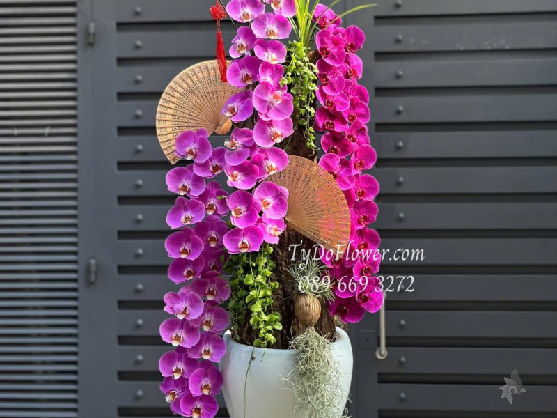 L0525409 CHẬU LAN HỒ ĐIỆP TÍM Hoa Chúc Mừng Thiết kế Cây Xanh Tiểu Cảnh, Phụ Kiện Trang Trí Cao Cấp