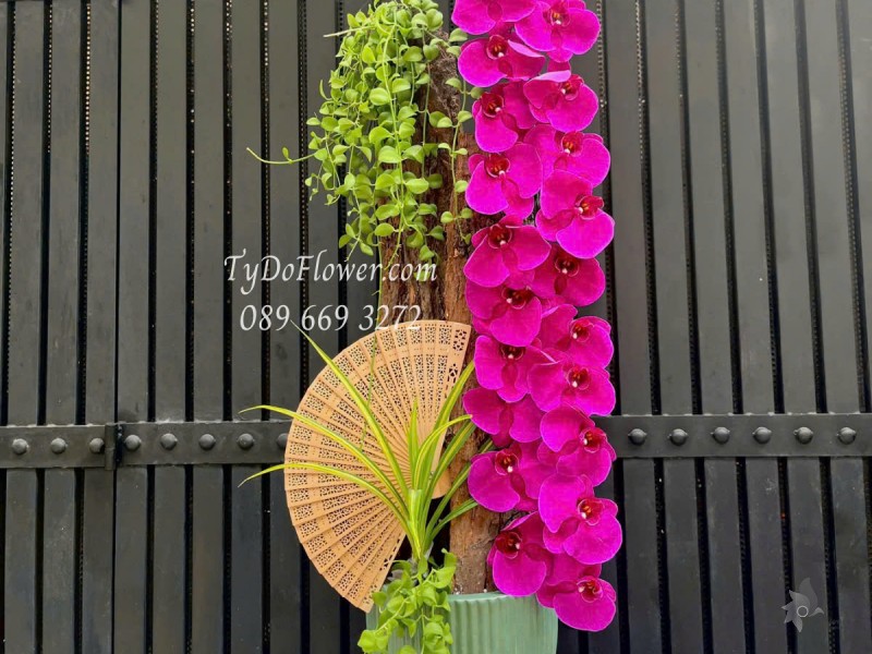 L0525412 CHẬU LAN HỒ ĐIỆP TÍM Hoa Chúc Mừng Thiết kế Cây Xanh Tiểu Cảnh, Phụ Kiện Trang Trí Cao Cấp