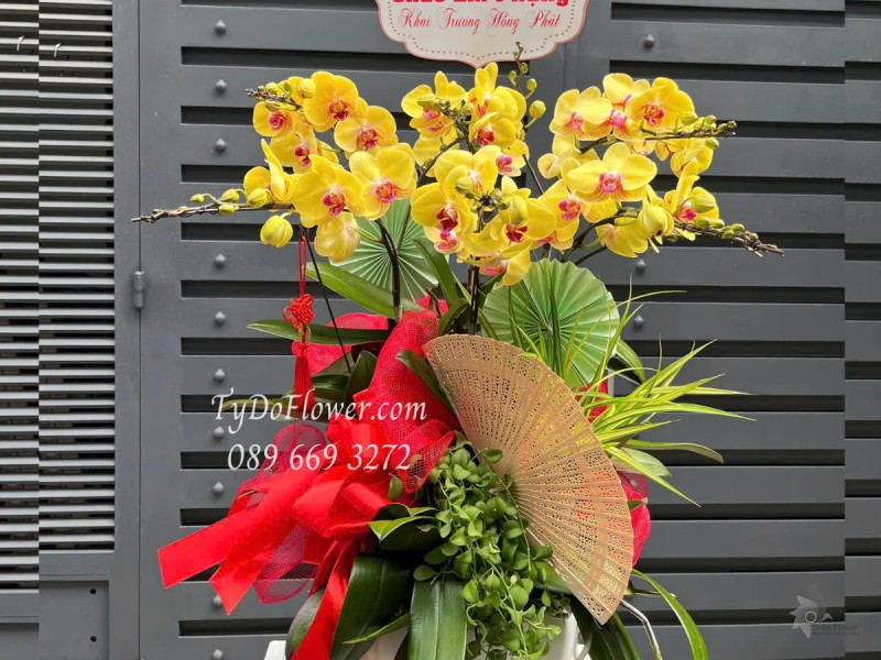 L0525410 CHẬU 06 CÀNH LAN HỒ ĐIỆP VÀNG Hoa Chúc Mừng Khai Trương Hồng Phát Thiết kế Cây Xanh Tiểu Cảnh, Phụ Kiện Trang Trí Cao Cấp