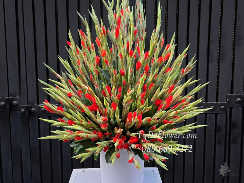 G0525419 GIỎ HOA HUỆ ĐỎ LAY ƠN DƠN ĐỎ Hoa Chúc Mừng, Hoa Dâng Lễ