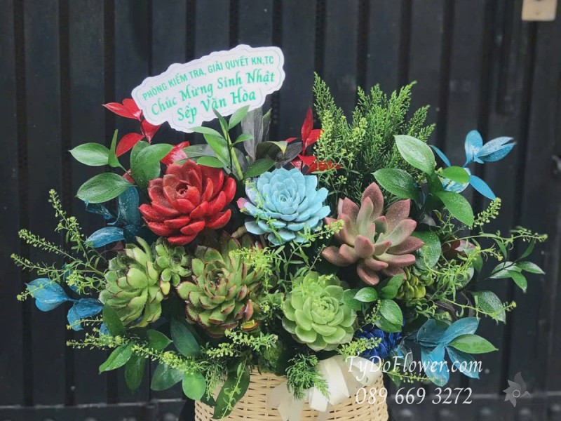 G0525429 GIỎ HOA SEN ĐÁ Chúc Mừng Sinh Nhật Sếp