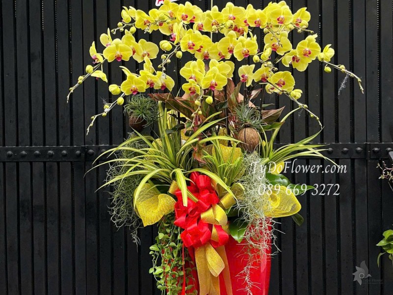 L0625446 CHẬU 12 CÀNH LAN HỒ ĐIỆP VÀNG Hoa Chúc Mừng Sinh Nhật Thiết kế cây xanh tiểu cảnh, phụ kiện trang trí cao cấp