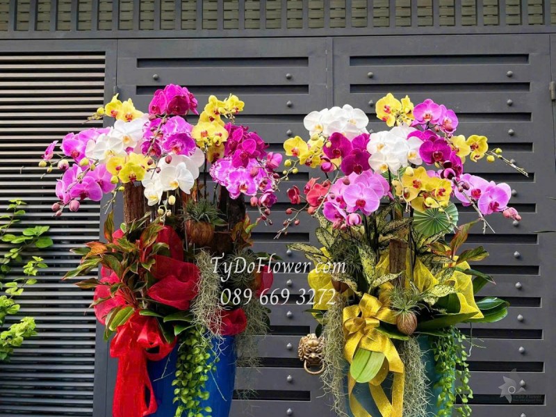 L0625489 MỘT CẶP CHẬU LAN HỒ ĐIỆP NGŨ SẮC 12 CÀNH Thiết kế cây xanh tiểu cảnh, phụ kiện trang trí cao cấp