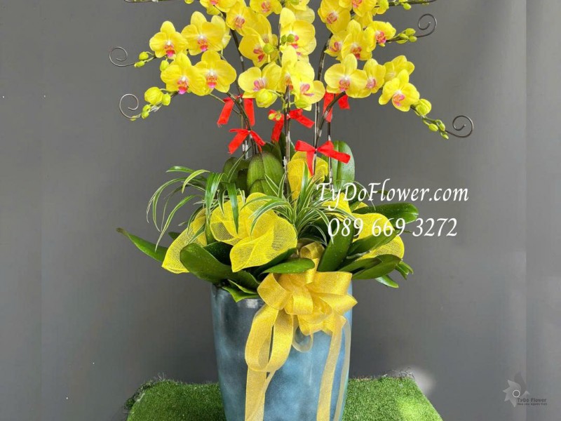 L0725512 CHẬU 9 CÀNH LAN HỒ ĐIỆP VÀNG Thiết kế cây xanh tiểu cảnh, phụ kiện trang trí cao cấp