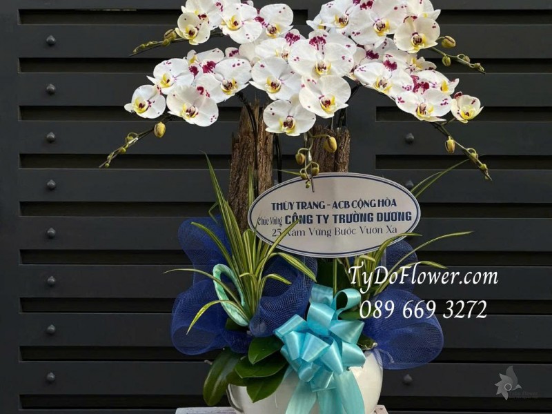 L0725517 CHẬU 5 CÀNH LAN HỒ ĐIỆP TRẮNG ĐỐM TÍM Thiết kế cây xanh tiểu cảnh, phụ kiện trang trí cao cấp