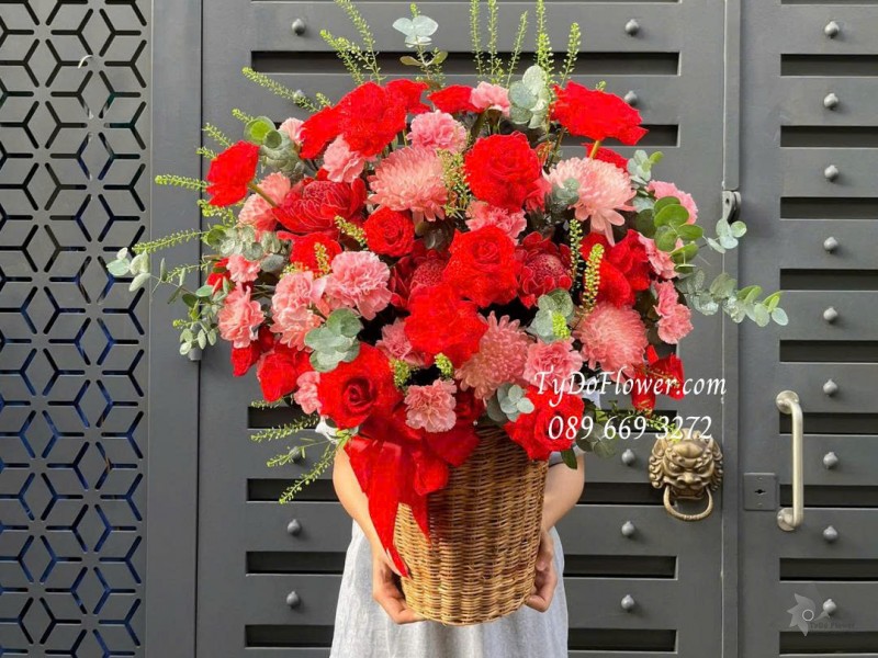 G1025815 GIỎ HOA CHÚC MỪNG Thiết kế gam màu đỏ hồng, hoa hồng đỏ Ecuador, phăng hồng, cúc trắng nhuộm màu