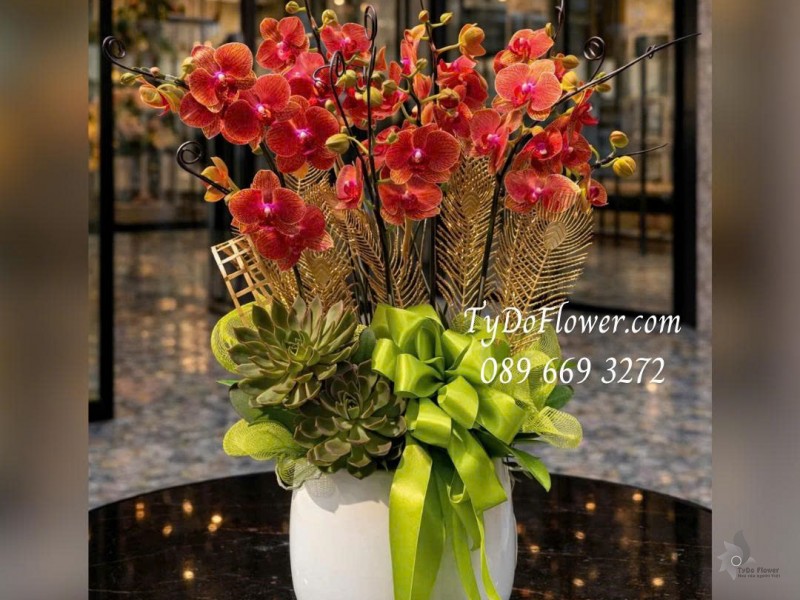 L0126003 CHẬU 10 CÀNH LAN HỒ ĐIỆP ĐỎ Thiết kế Hoa Sen Đá và phụ kiện trang trí cao cấp