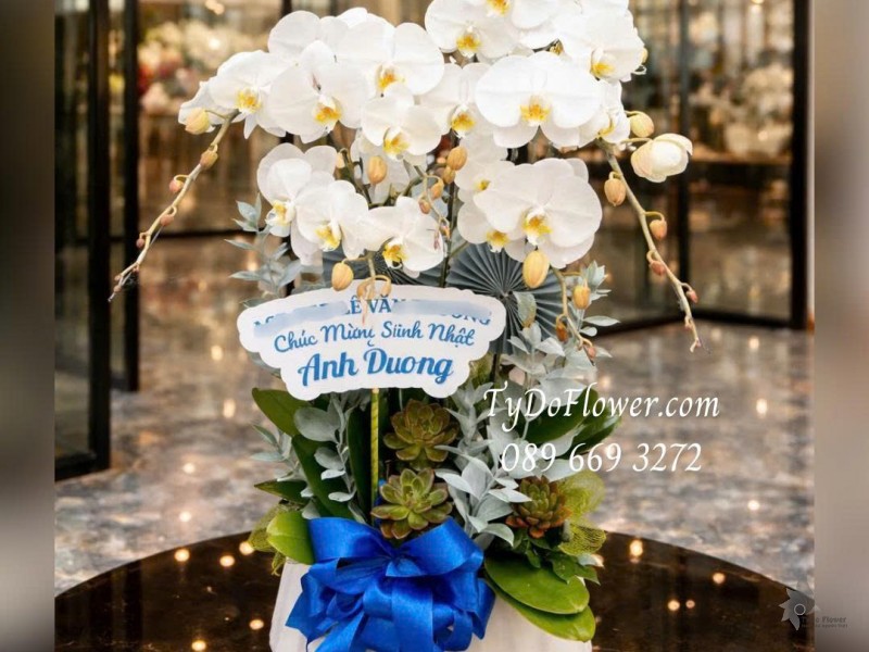 L0126007 CHẬU 06 CÀNH LAN HỒ ĐIỆP TRẮNG Thiết kế Hoa Sen Đá và phụ kiện trang trí cao cấp