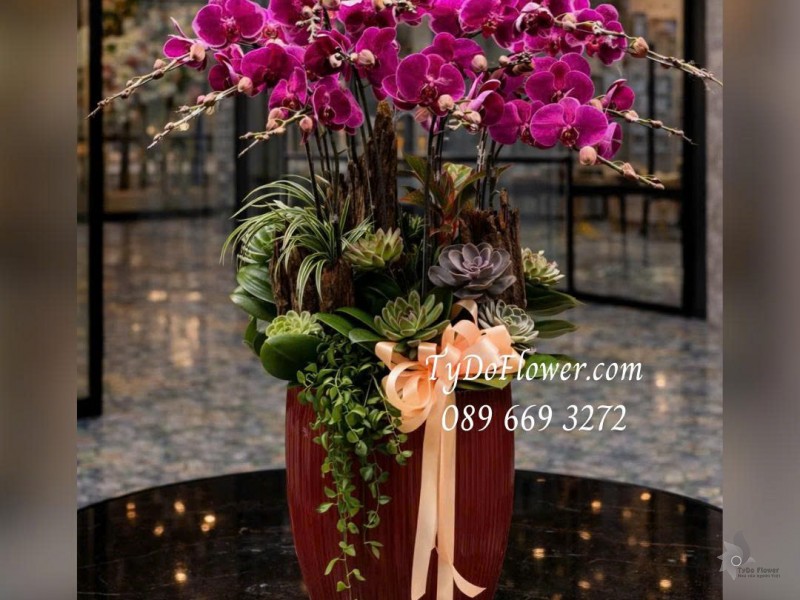 L0126011 CHẬU 12 CÀNH LAN HỒ ĐIỆP TÍM Thiết kế Hoa Sen Đá, Cây Xanh Tiểu Cảnh theo phong cách mộc mạc