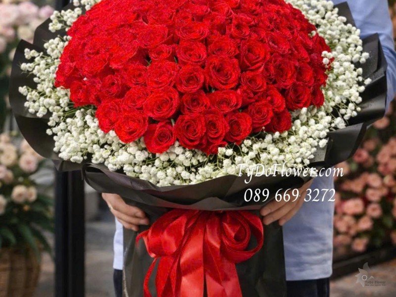 B0126062 Bó Hoa Hồng Đỏ Ecuador, Baby Trắng