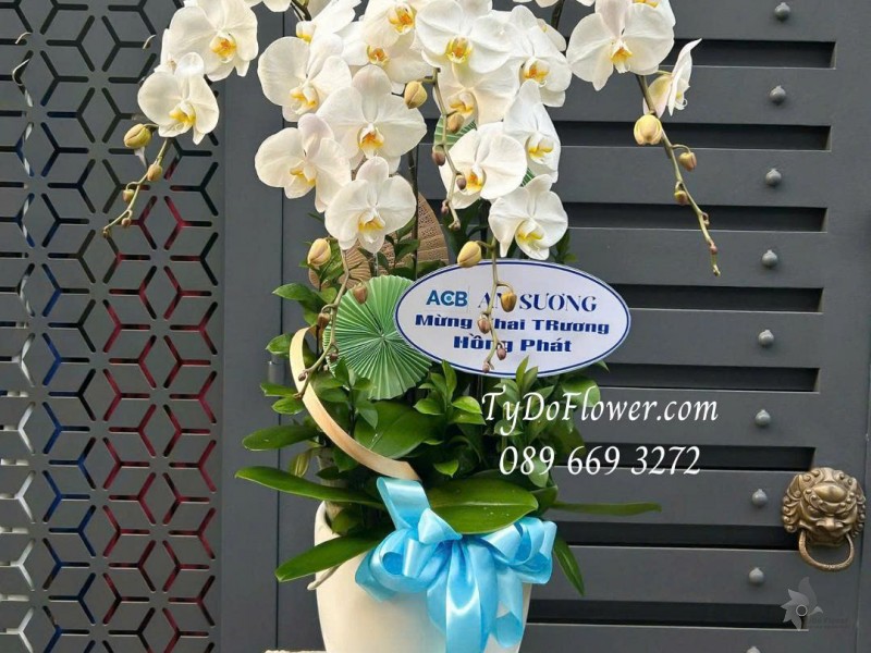 L0226081 CHẬU 05 CÀNH LAN HỒ ĐIỆP TRẮNG Thiết kế phụ kiện trang trí cao cấp