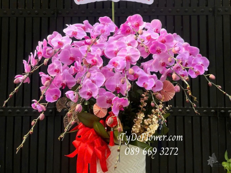 L0226082 CHẬU 15 CÀNH LAN HỒ ĐIỆP HỒNG Thiết kế phụ kiện trang trí cao cấp