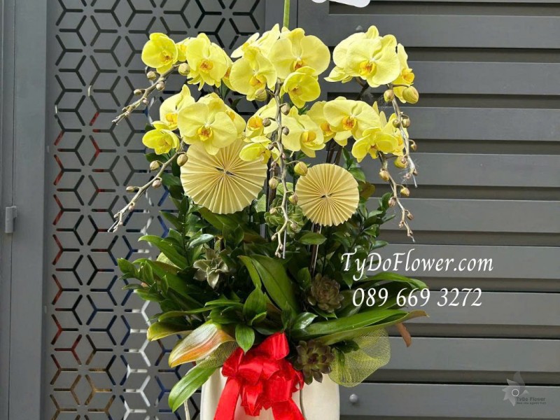 L0226130 CHẬU 06 CÀNH LAN HỒ ĐIỆP VÀNG Thiết kế hoa sen đá, phụ kiện trang trí cơ bản