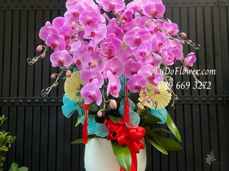 L0226133 CHẬU 12 CÀNH LAN HỒ ĐIỆP hồng Thiết kế phụ kiện trang trí cơ bản