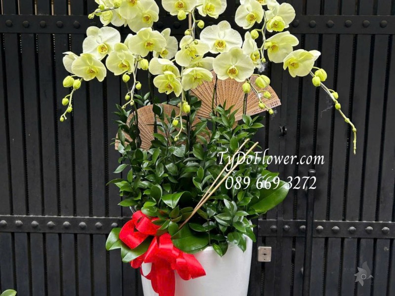 L0226135 CHẬU 08 CÀNH LAN HỒ ĐIỆP VÀNG Thiết kế phụ kiện trang trí cơ bản