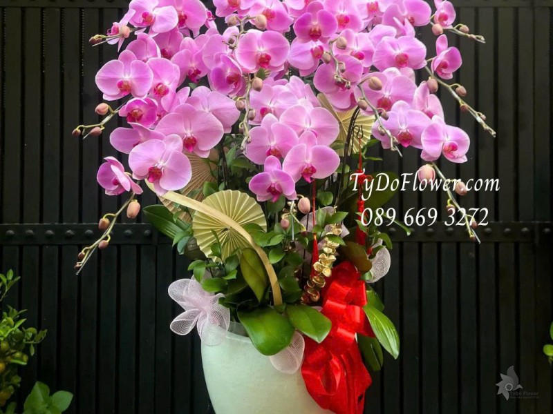 L0226136 CHẬU 12 CÀNH LAN HỒ ĐIỆP HỒNG Thiết kế phụ kiện trang trí cơ bản