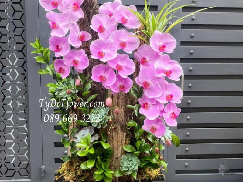 L0226137 HỒ ĐIỆP HỒNG THIẾT KẾ GỖ LŨA SEN ĐÁ CÂY XANH TIỂU CẢNH CAO CẤP