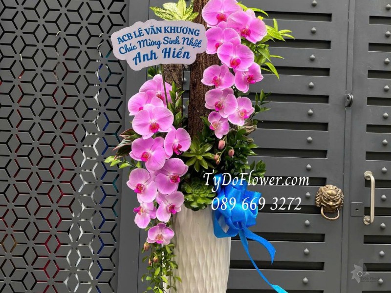 L0226203 BÌNH HOA LAN HỒ ĐIỆP HỒNG Thiết kế gỗ lũa gỗ, sen đá, cây xanh tiểu cảnh cao cấp