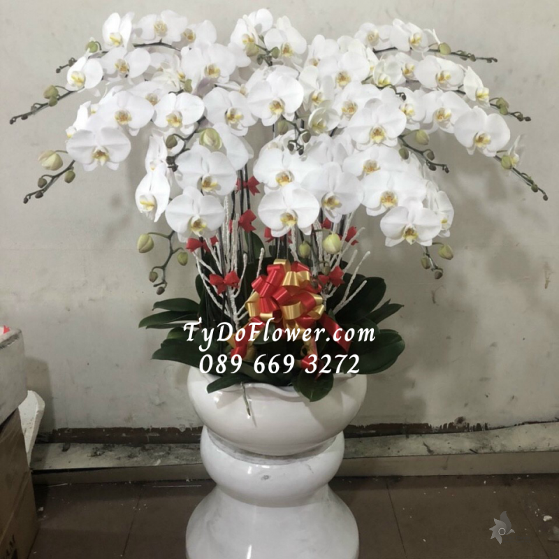 LAN HỒ ĐIỆP TRẮNG 15 CÀNH LHD1017