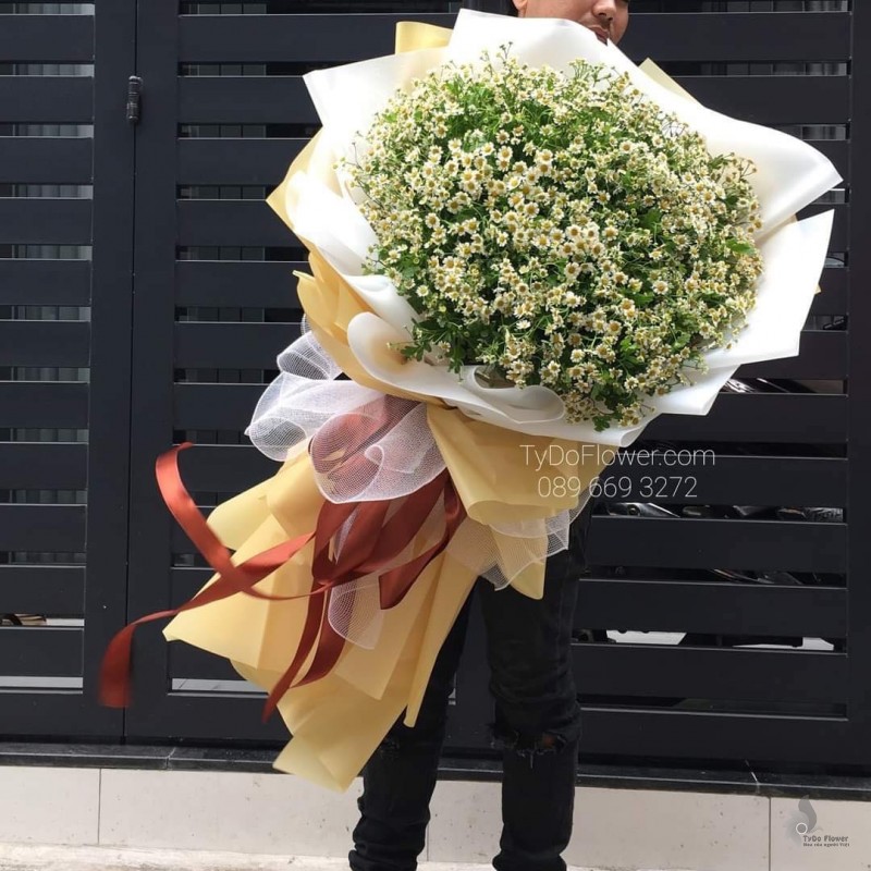 BÓ HOA CHÚC MỪNG BO7223 Bó Hoa Cúc Tana