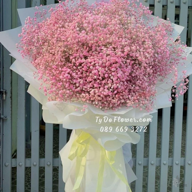 BÓ HOA CHÚC MỪNG BO7225 Bó Hoa Baby Hồng
