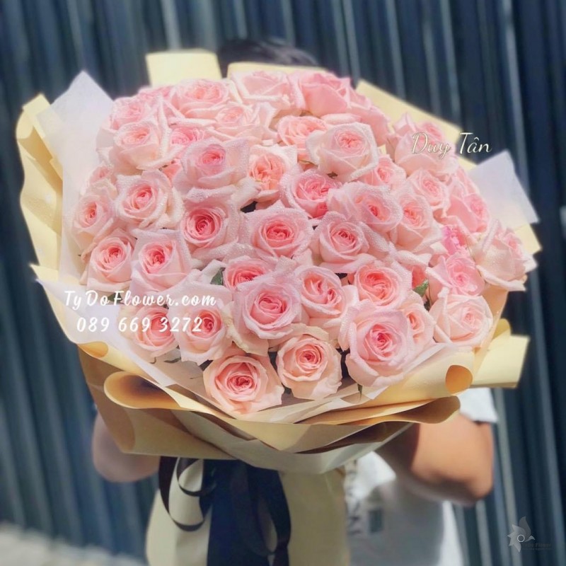 B122227 BÓ HOA HỒNG OHARA PINK HOA CHÚC MỪNG