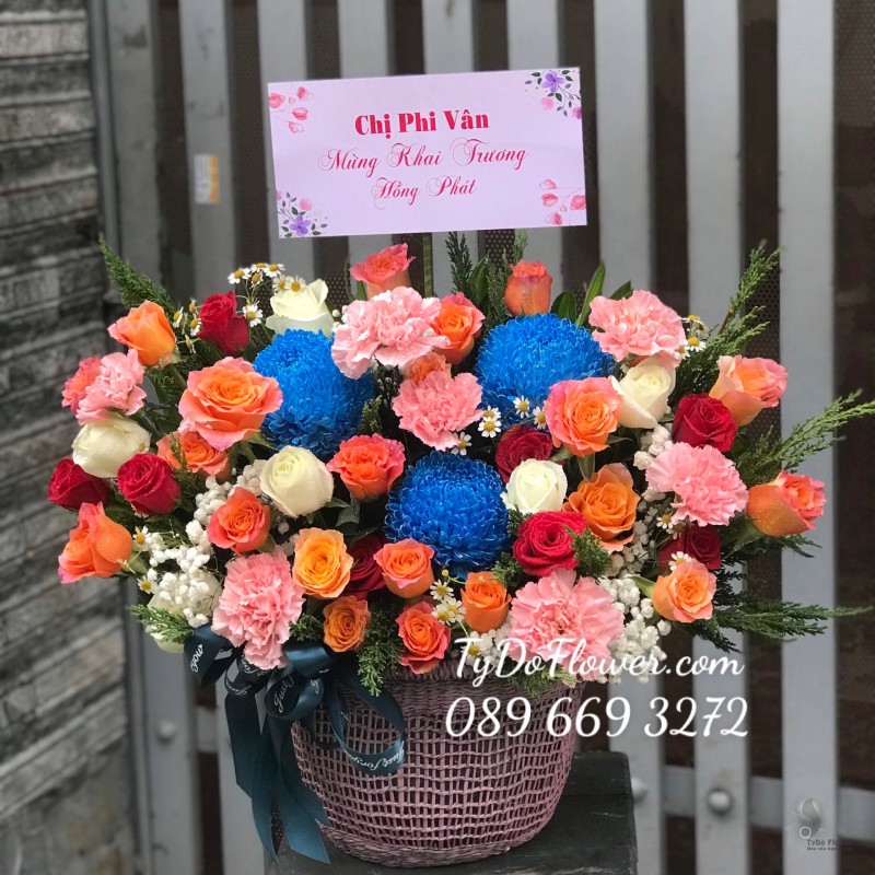 G122239 GIỎ HOA CHÚC MỪNG KHAI TRƯƠNG thiết kế hoa Cúc Mẫu Đơn xanh dương, hoa hồng cam Spirit Roses, cẩm chương hồng, hoa hồng trắng-đỏ, hoa lá phụ
