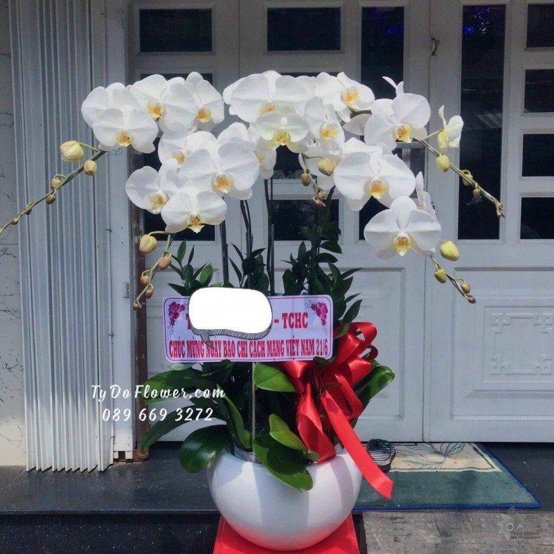 L1222108 CHẬU 5 CÀNH HỒ ĐIỆP TRẮNG