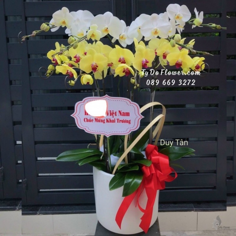 L1222116 CHẬU 9 CÀNH HỒ ĐIỆP TRẮNG VÀNG