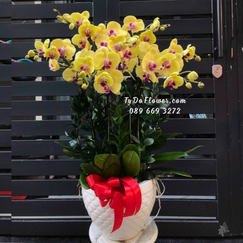 L1222120 CHẬU 15 CÀNH HỒ ĐIỆP VÀNG