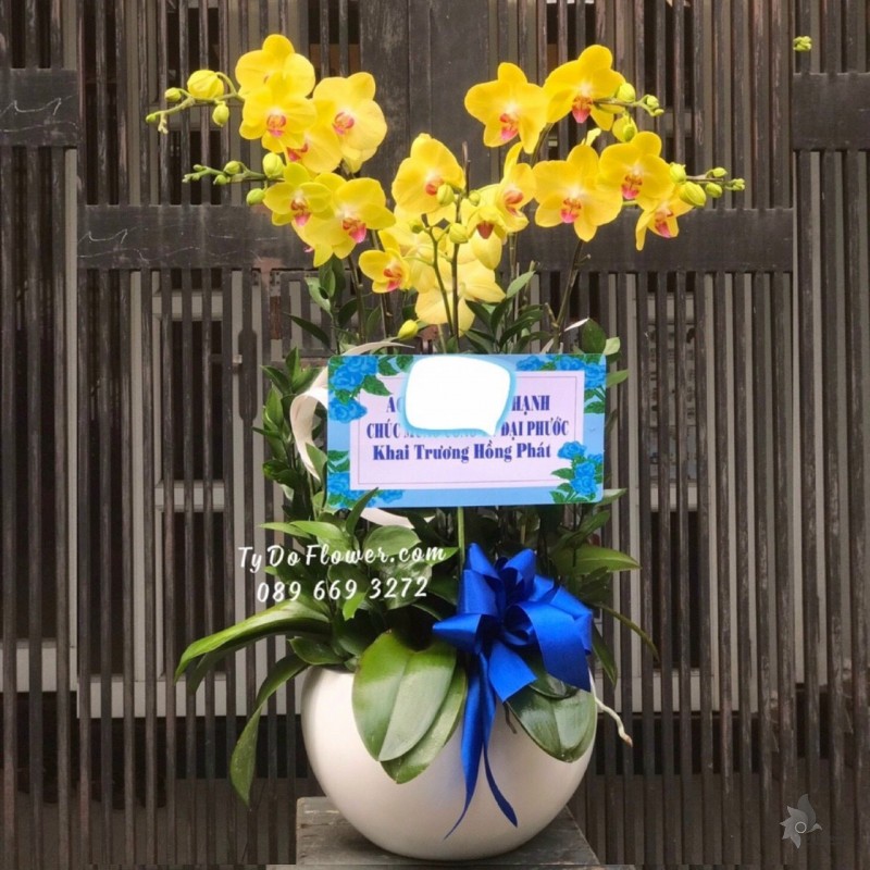 L1222122 CHẬU 5 CÀNH HỒ ĐIỆP VÀNG