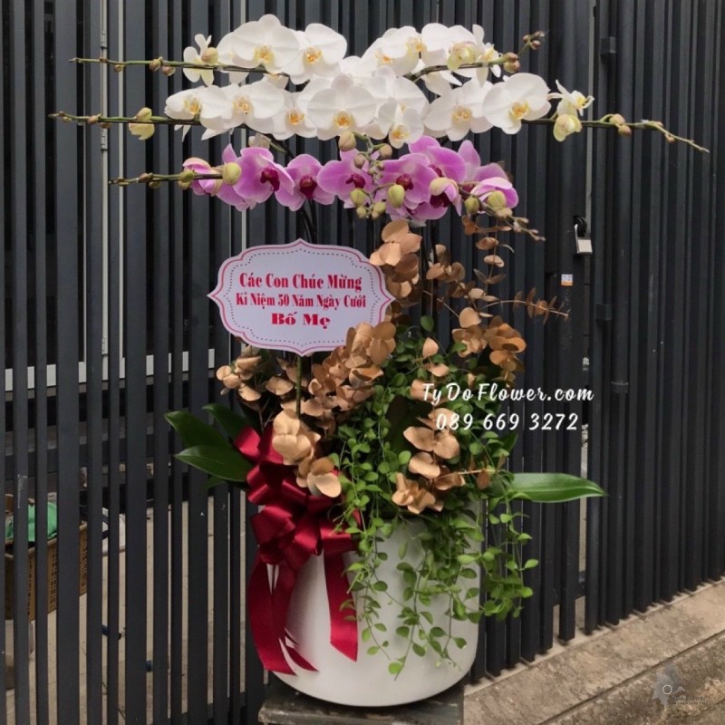 L1222154 CHẬU 9 CÀNH HỒ ĐIỆP TRẮNG TÍM