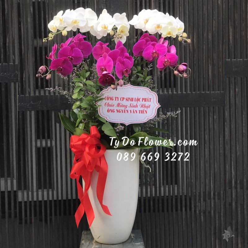 L0123173 CHẬU 6 CÀNH HỒ ĐIỆP TRẮNG TÍM