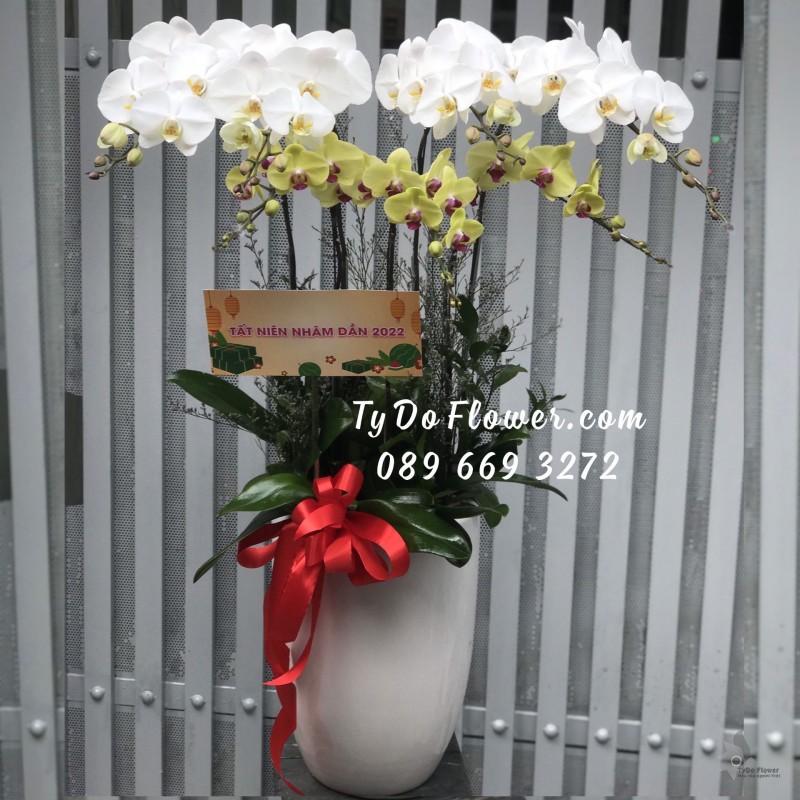 L0123176 CHẬU 8 CÀNH HỒ ĐIỆP TRẮNG VÀNG